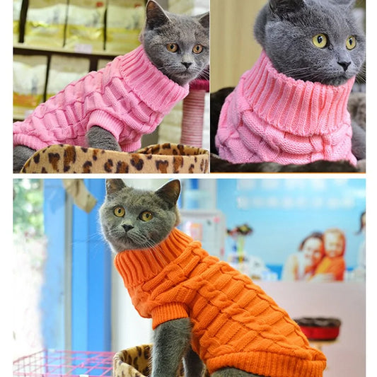 Pet Sweater