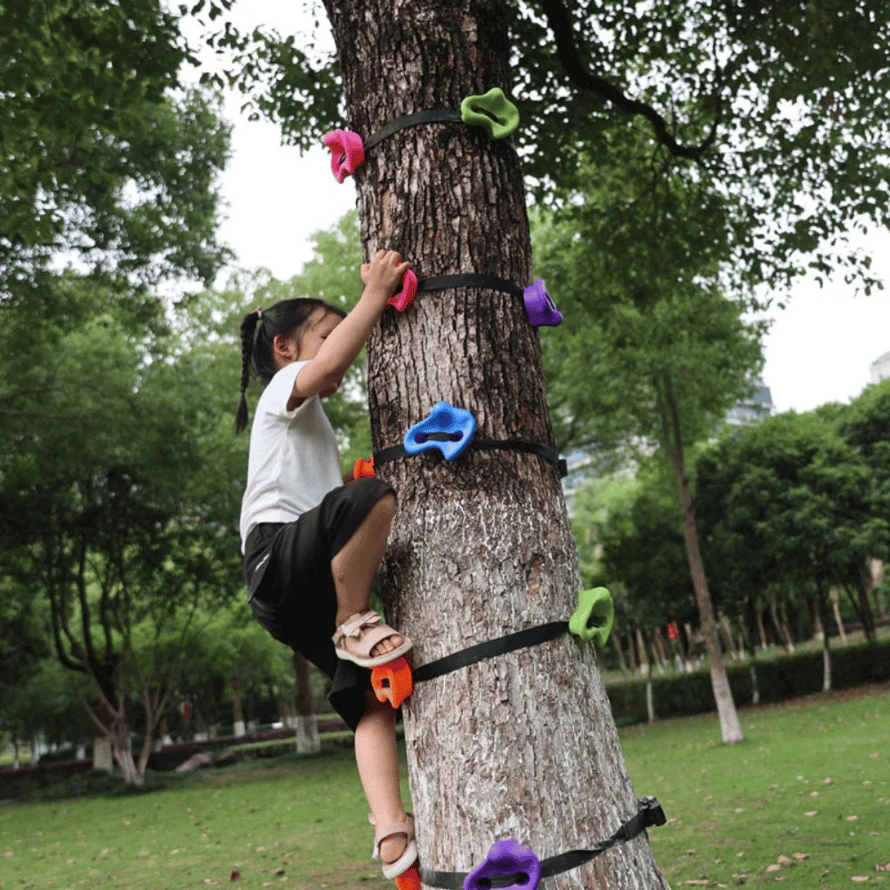 Kids Backyard Rockclimbing Kit