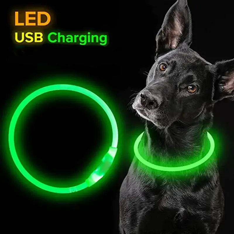 LED Pet Collar